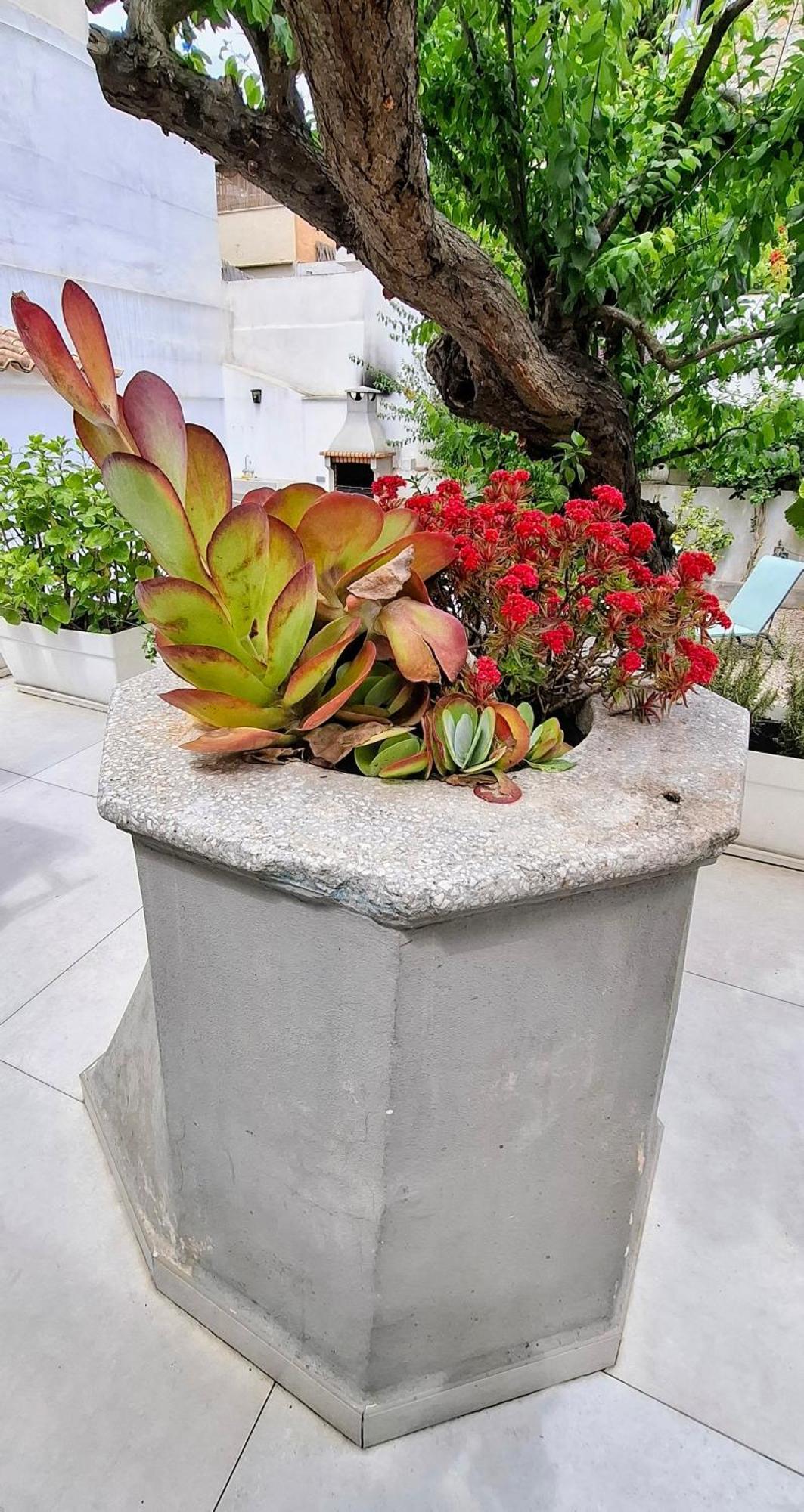 City Center Palma Ngoại thất bức ảnh